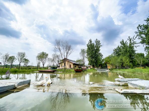 af19346f414d4dd5abc384024d9c952f_B_BASIC