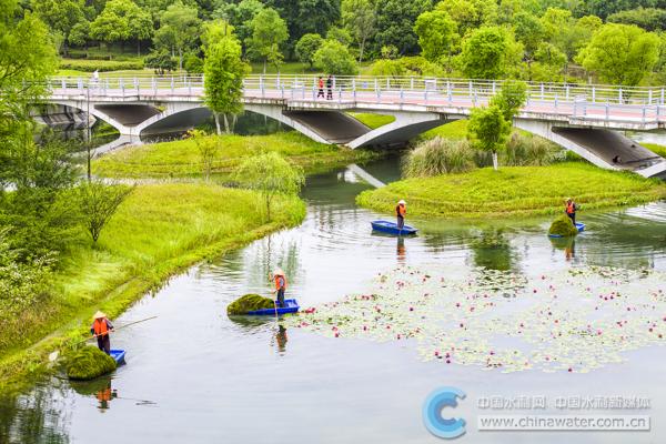 75d774175854455393828114f979377a_B_BASIC