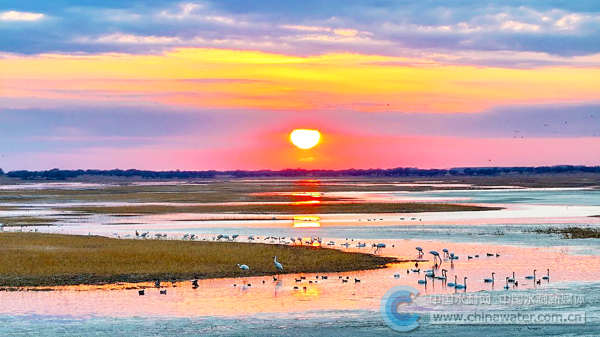 7294374951ae484db4a30c4c527284ce_B_BASIC