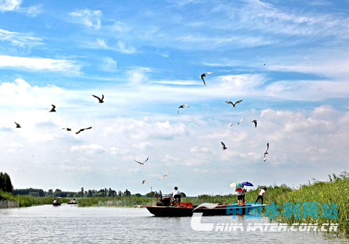 2017-11-17_582014副本