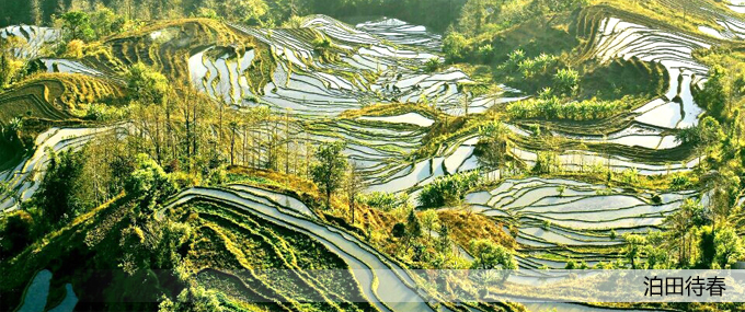 ���(y��)��Dģ�� ��ؐ.jpg