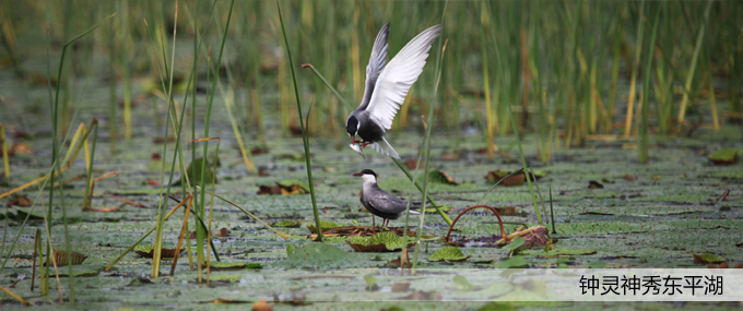 ��퓴�Dģ�� ��ؐ.jpg