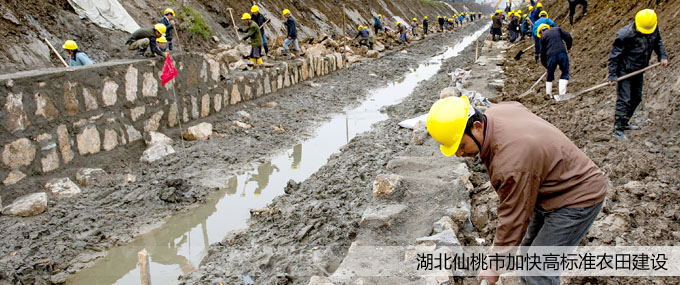 ���(y��)��D copy.jpg