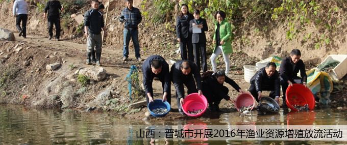 ��퓴�Dģ�� ��ؐ.jpg