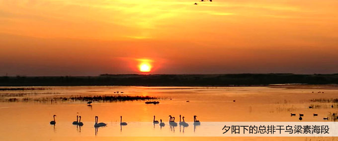 ��퓴�Dģ��1 copy.jpg